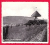 Echternach Luxemburg Le Champignon Nels Bromurite Luxembourg