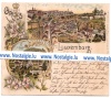 Gruss aus Luxemburg 1899 Panorama St. Kunigundes Kirsche Schaefe